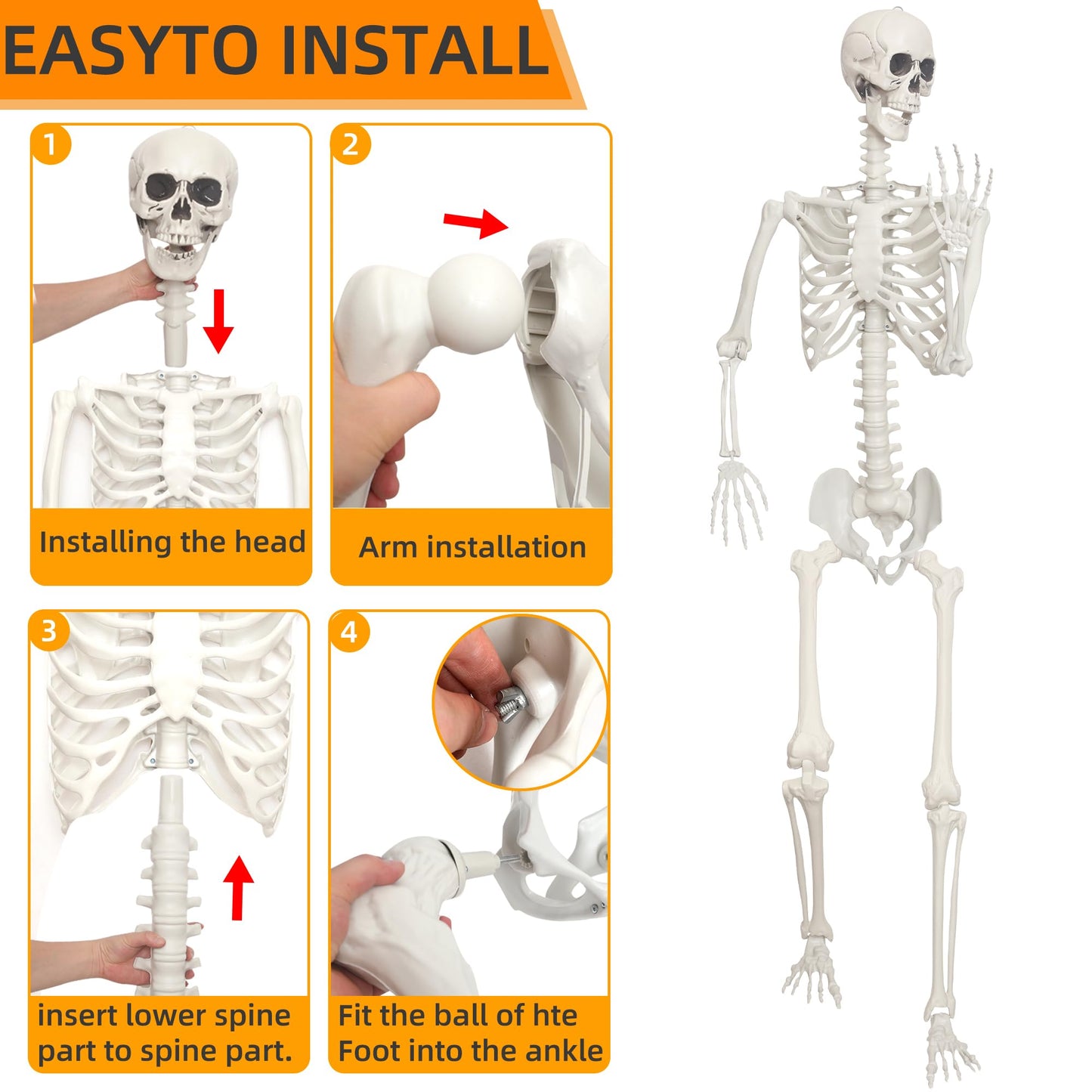 Lodou 1PC 7.9ft/240cm Halloween Giant Skeleton Full Body Realistic Human Bones with Adjustable Joints for Indoor Outdoor Halloween Decor
