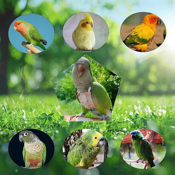 Snap-Closure Parrot Diaper Flight Suit for Cockatiels, Lovebirds & Medium Birds Cotton Washable Escape-Proof Harness with Leash Set(Medium Parrot)