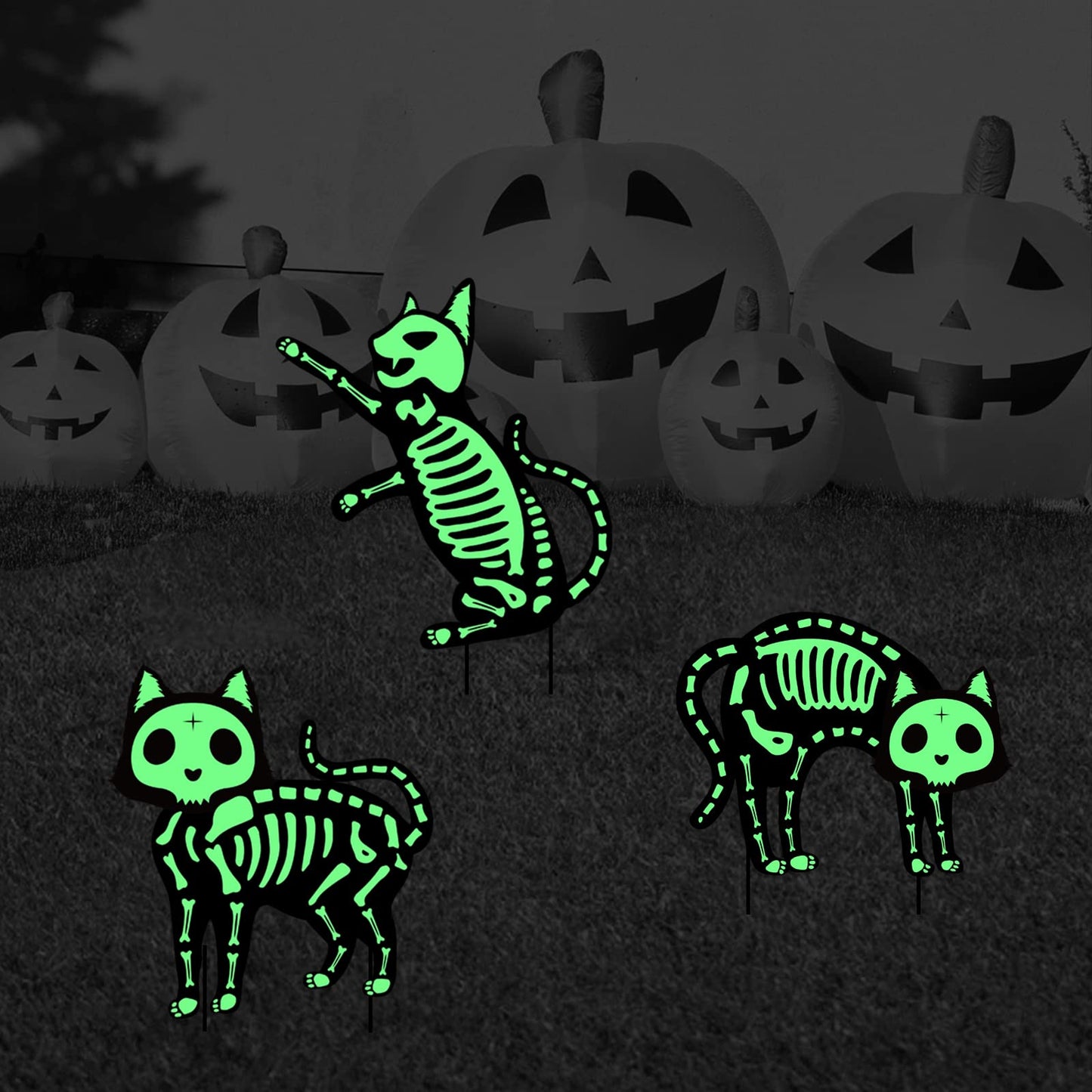 Outdoor Halloween Decorations Yard Signs - 5pcs Glow in The Dark Skeleton Black Cat Silhouette Lawn Signs with Stakes for Halloween Lawn Garden Front Yard Decorations Outside