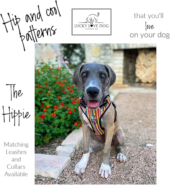 Lucky Love Dog Harness, Easy to Walk, No Pull Dog Harness, Adjustable Custom Fit (Hippie, Extra Small)