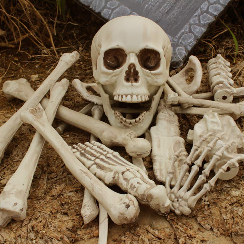 XONOR 28 Pieces Skeleton Bones and Skull for Halloween Decor or Spooky Graveyard Ground Decoration (28PCS)