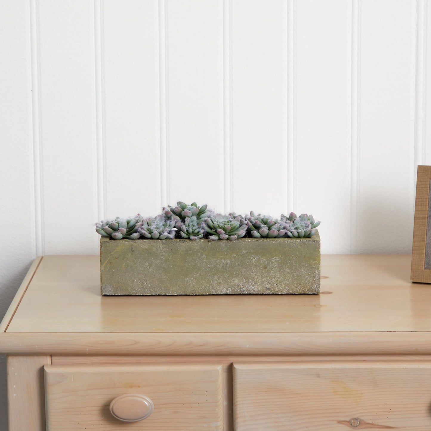 Nearly Natural Succulent Garden with Textured Concrete Planter