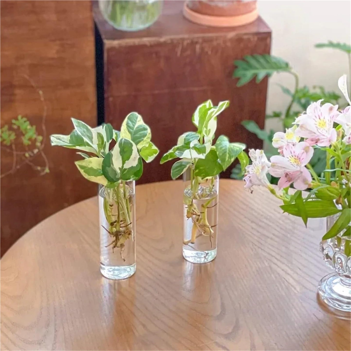 Glass Vase Vase 3Pack Wall Hanging Glass Planters Plant Terrarium Plants Holders Air with Plastic Invisible Traceless Hangers(3Pcs Large)