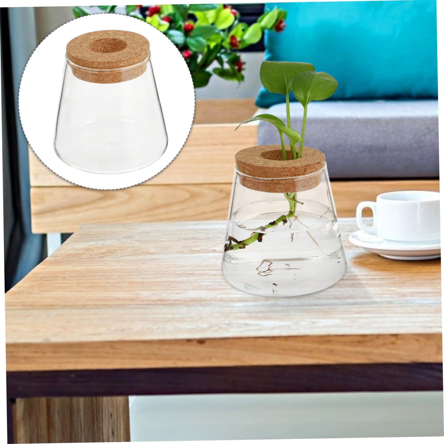 JUMPLAWN 2pcs Hydroponics Glass Planter Stylish Desktop Terrarium for Chic Water-Planting Vase for Indoor Gardening for Plant