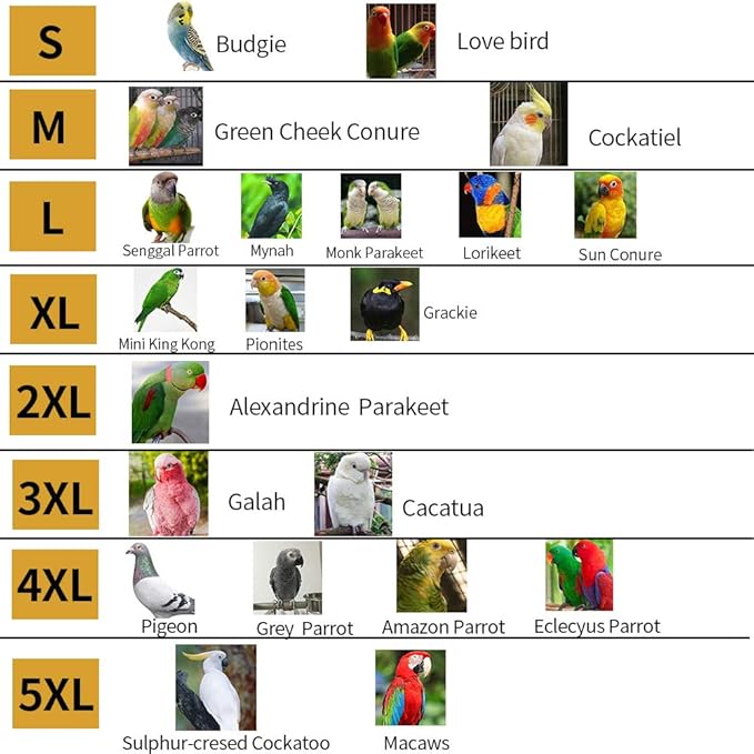 Bird Flight Harness Vest, Parrot Flight Suit with Leash, Bird Flying Clothes with Rope and Handle for Outdoor Activities (Without Leash,Cockatiel) (Without, M)