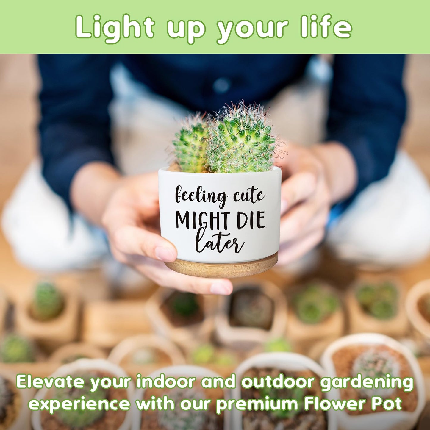 Funny Succulent Plant Pot, Cute 3.5 Inch Small Ceramic Cactus Plant Pot with Drainage, Home Office Desk Planter Pot for Friends Planter Lovers Birthday Christmas Housewarming Gifts (No Plants)