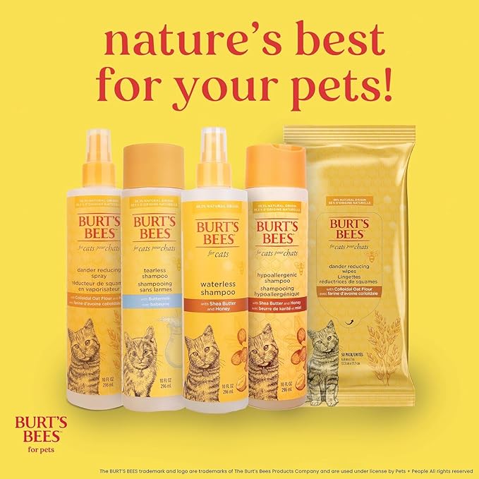 Burt's Bees for Pets Tearless Kitten Shampoo with Buttermilk and Honey, 99% Natural Origin Gentle Cat Shampoo for Sensitive and Itchy Skin, pH Balanced and Fragrance-Free, 10 Fl Oz
