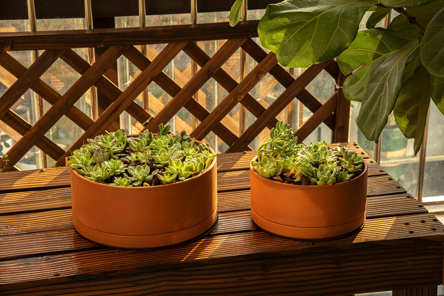 D'vine Dev 10 Inch Succulent Terracotta Shallow Pot with Drainage Hole and Saucer, Round Cylinder Planter Pot for Plant Flower, 40-Y-B-0
