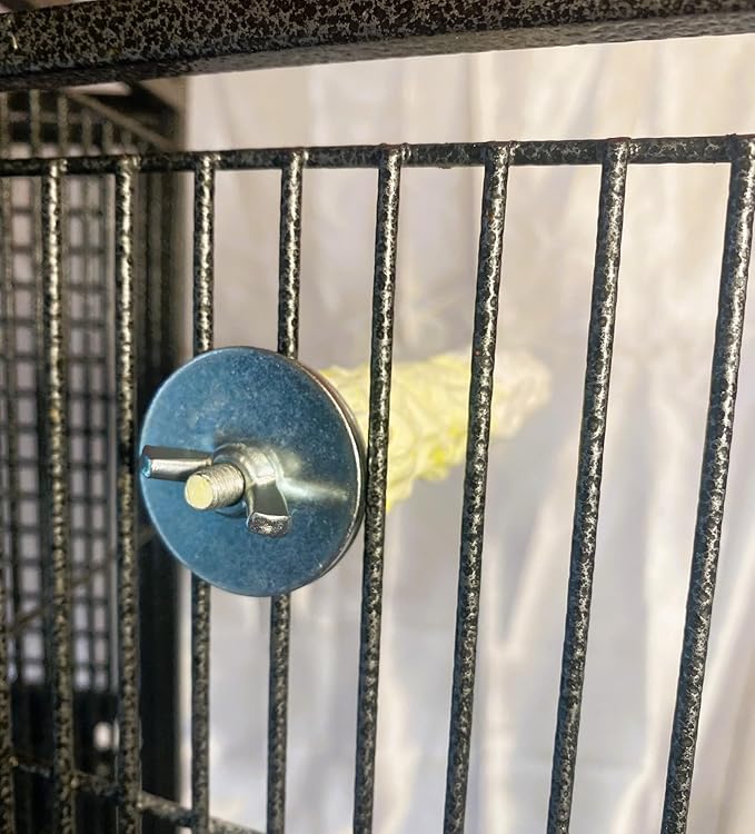 Polly's Edible Cuttlebone Calcium Bird Cage Perch for Budgies, Parakeets, Amazons, Blue & Golds, Macaws and Cockatoos.… (Pineapple, Medium)