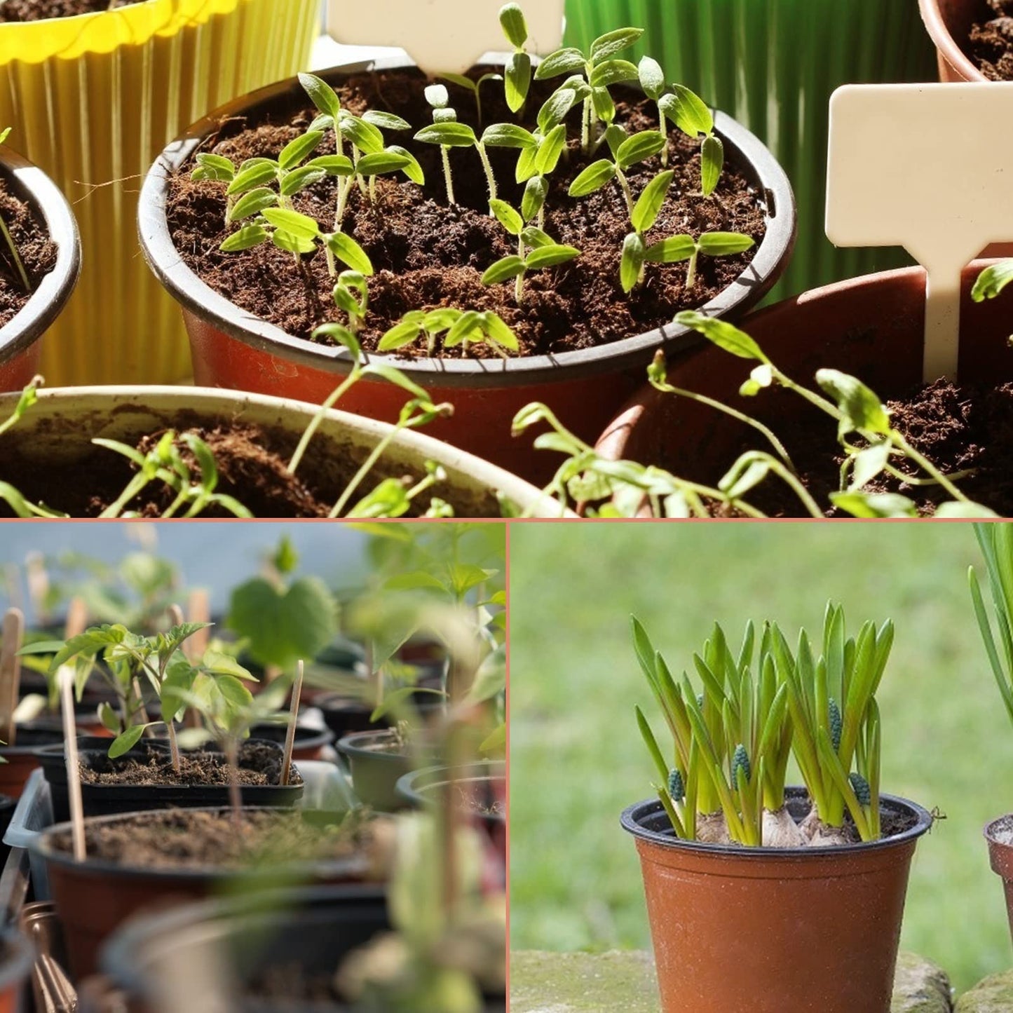 KINGLAKE 100 Pcs 4 Inch Plastic Plant Labels with Permanent Marking Pen with 100 Pcs 4" Plastic Plants Nursery Pot
