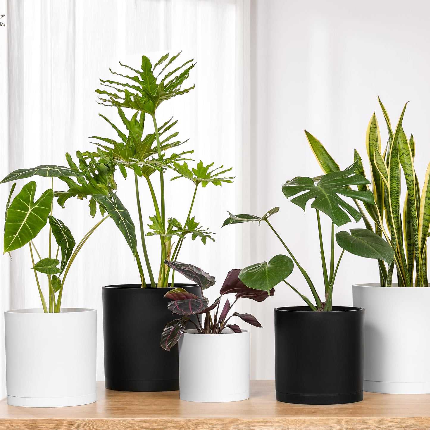 FaithLand 8-Inch Modern Cylinder Planter, Thick-Walled Plastic Plant Pot with Drainage Holes and Detachable Saucer, Matte Black, Ideal for Indoor & Outdoor Plants Flowers