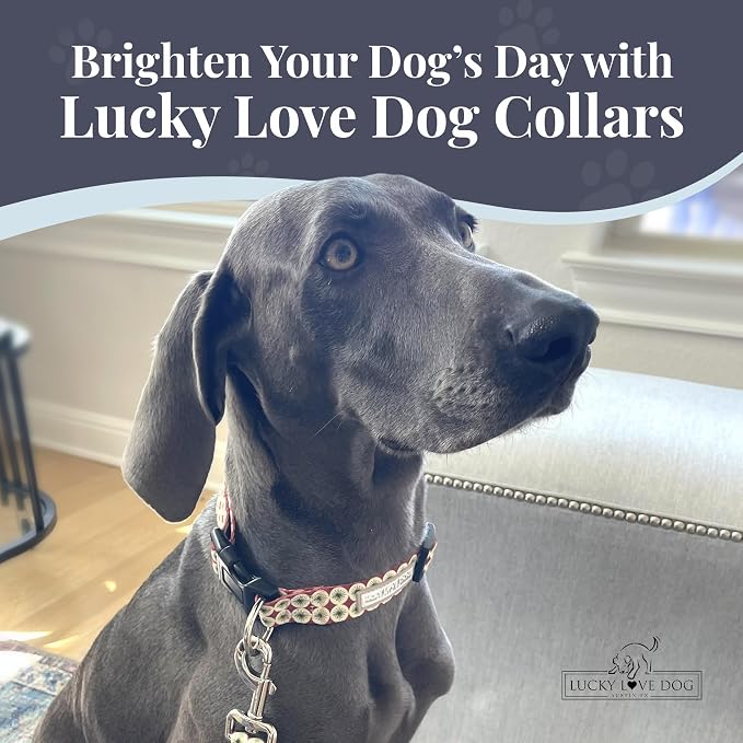 Lucky Love Dog - Easy Click Buckle Dog Collar with Leash Set Combo, Durable & Comfortable for Male & Female Dogs, Pet Collar for Small Dogs, Secure Fit - Pongo Combo, XS