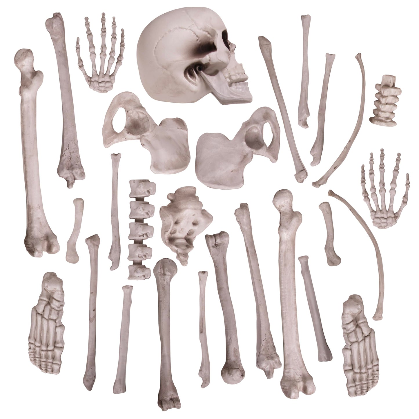 Kangaroo Halloween Skeleton Decor Bones 30 Pieces Bulk - Large Bag of Plastic Bones for Outdoor Yard Decoration - Scary Graveyard Fake Skulls and Bones