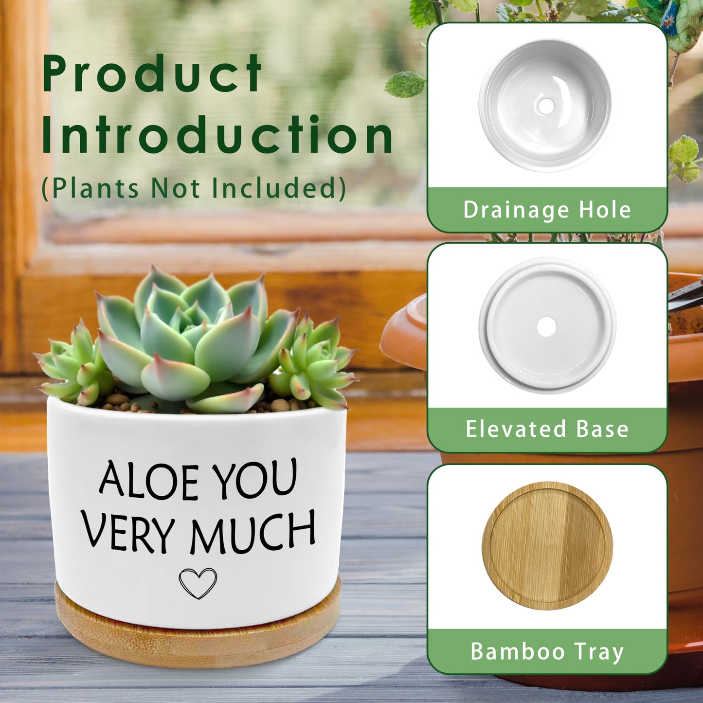 ROXMART Aloe You Very Much Funny Plant Pots, Gardener Gifts for Women Men Succulent Planters, Funny Gardening Gifts Ceramic Plant Flower Pots for Home Office Desk Table Shelf(No Plants)