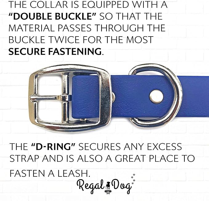 Regal Dog Products Large Blue Waterproof Dog Collar and Leash Set | Heavy Duty Double Buckle & D Ring - 5'ft Leash | Adjustable Biothane Dog Collar | Chew Resistant Waterproof Collar for Dogs