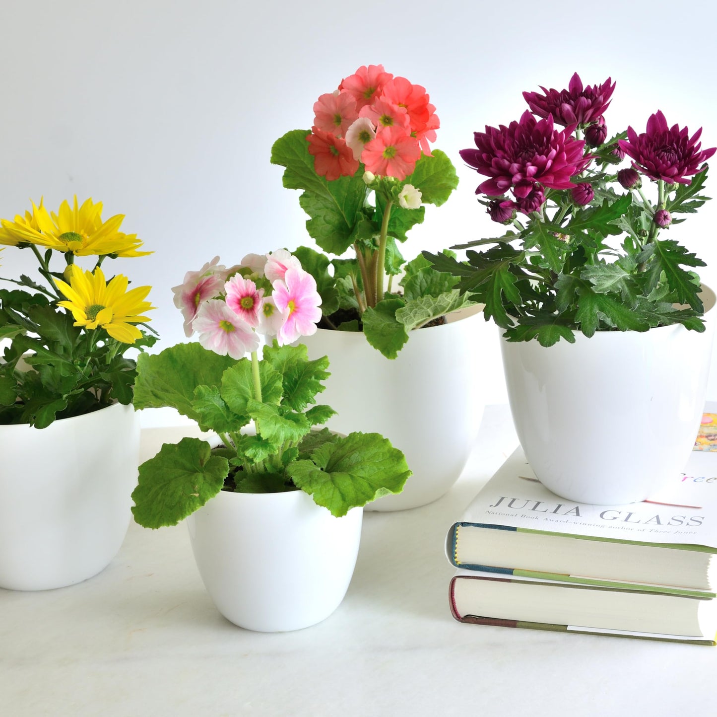 Youngever 6 Pack 4.5 Inch, 5.5 Inch, 6.5 Inch Plastic Planters Indoor Flower Plant Pots Combo (White)