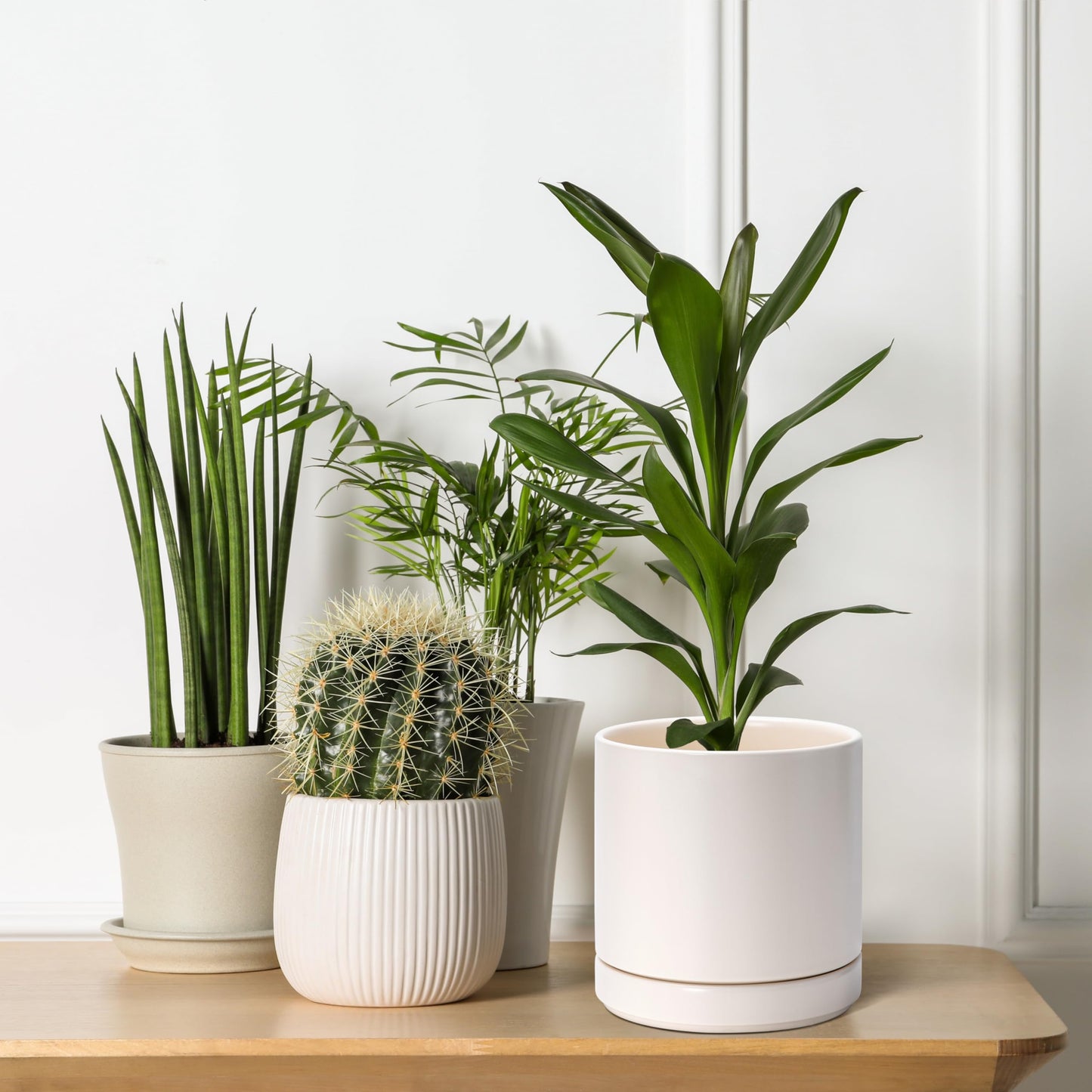 D'vine Dev Set of 2 Plants Pots, 6.5 Inch Ceramic Planter Pot for Plants with Drainage Hole and Saucer, Oatmeal, 94-V-C-8