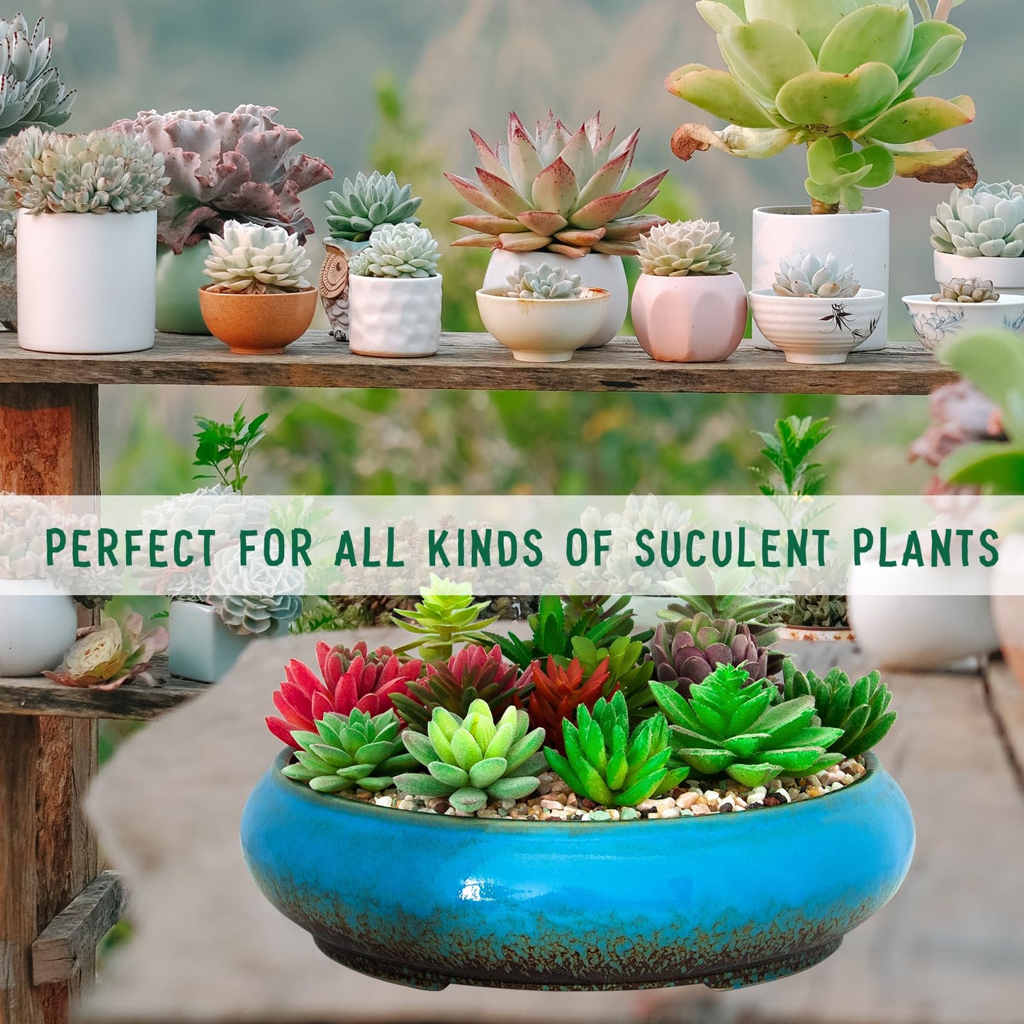 Succulent Pots - 11.5 Inch Ceramic Bonsai Pots with Drainage, Large Shallow Succulent Planters for Indoor Outdoor Plants, Round Glazed Cactus Flower Plant Container Bowl Home Desk Decor(Blue)