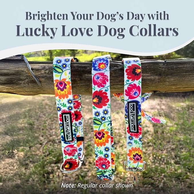Lucky Love Dog Martingale Dog Collar - Adjustable, No-Slip, Durable, & Soft Webbing Collar for Male and Female Dogs Ideal for Training & Walking - Ladybird, Medium