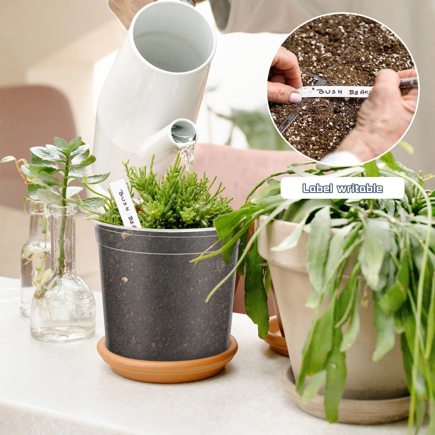 VOKOY 40 Pack 5/4/3/2.75 Inch Clear Nursery Pots with 40 Plant Labels, Clear Plant Pots with Drainage Hole Plastic Transparent Variety Pack Garden Flower Seedling Pot Small Planter Containers