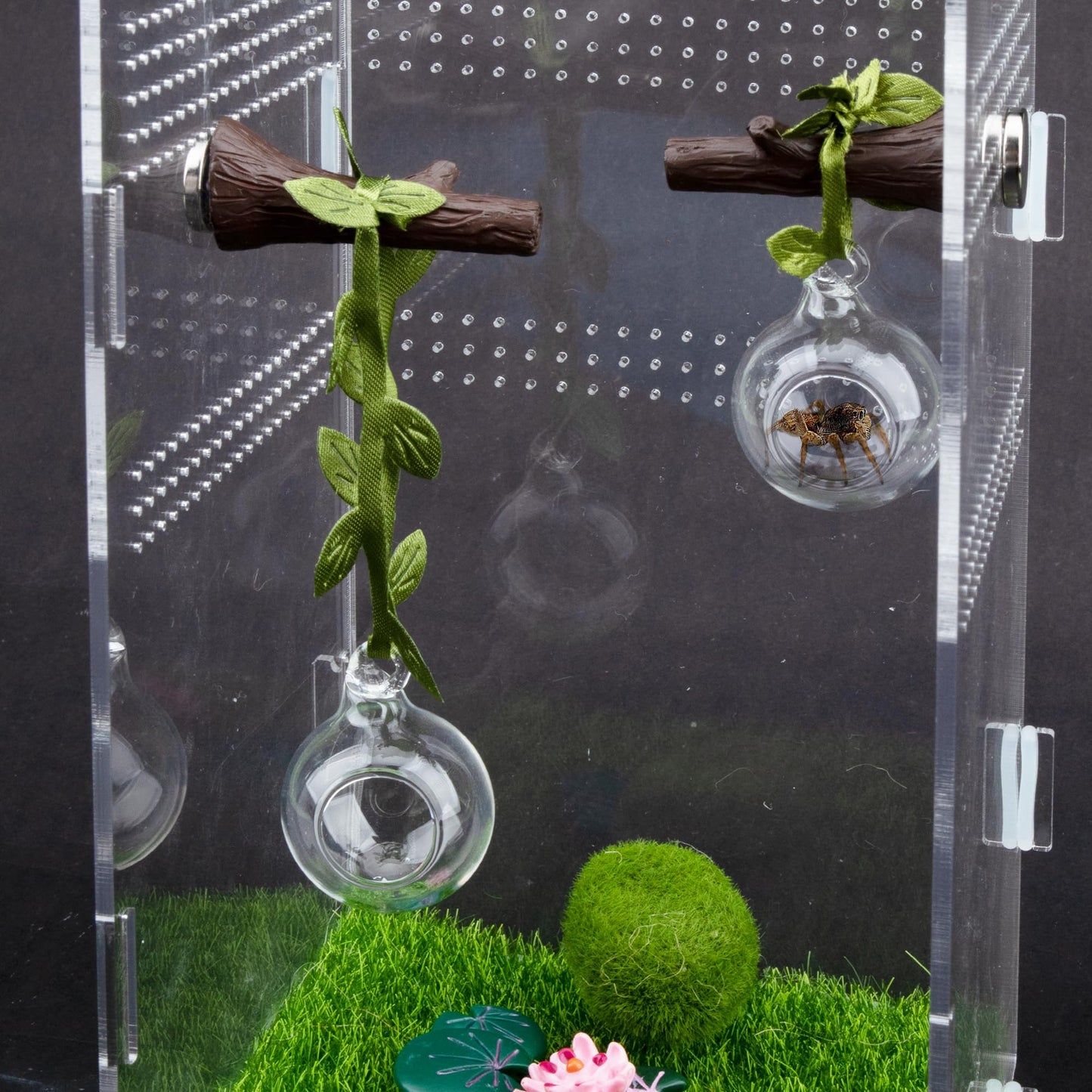 GAGILAND 4 Pcs Jumping Spider Accessories Glass Ball Habitat Cloud Platform Ledges Jumping Spider Hide for Decorating Jumping Spider Enclosure Climbing & Exploration