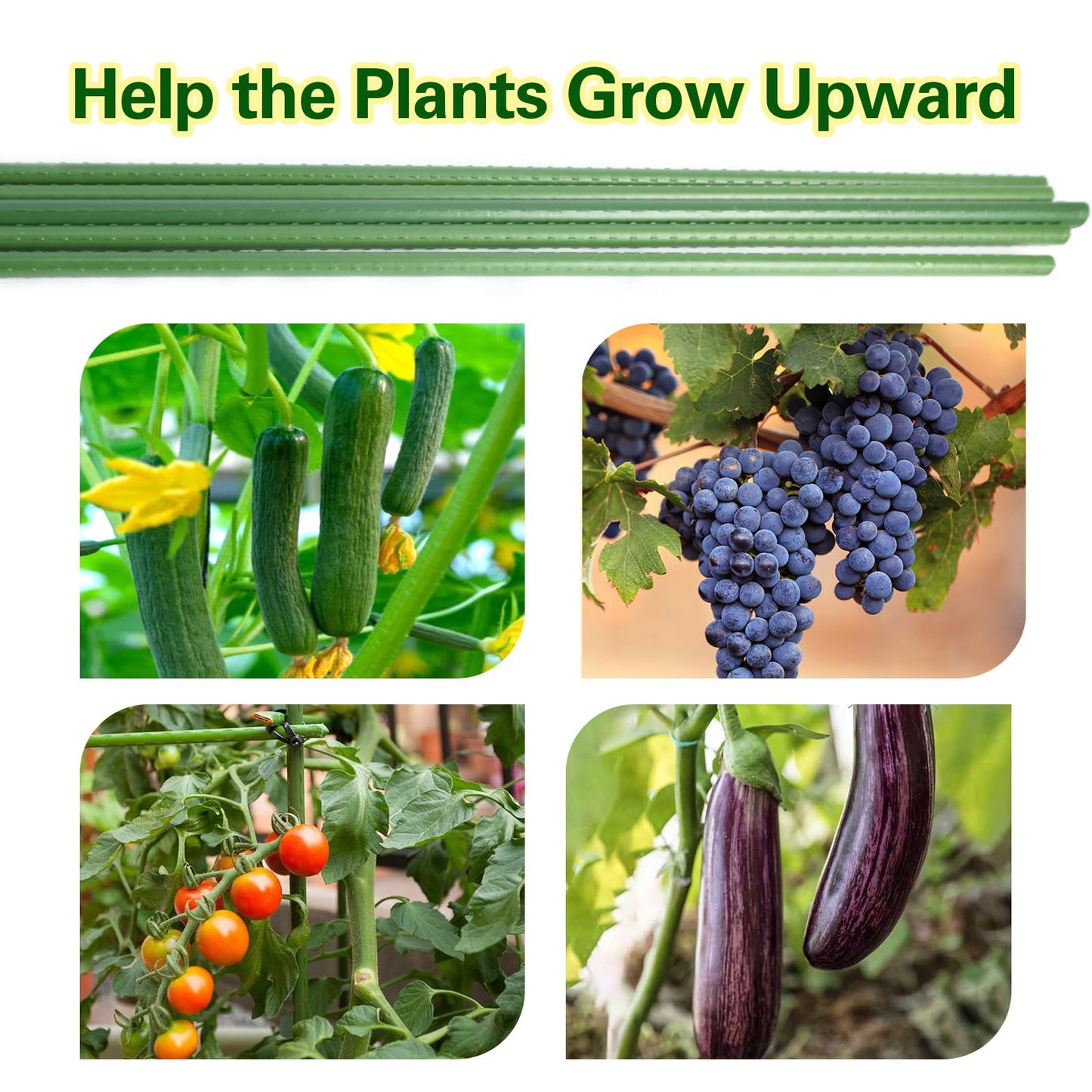 Sprigra Garden Stakes 4ft, Metal Plant Stakes 48 inch, Sturdy Plant Support for Climbing Plants, Tomatoes, Beans, Cucumbers, Peppers, Flowers, Potted, Strengthen and Stem to Grow Better