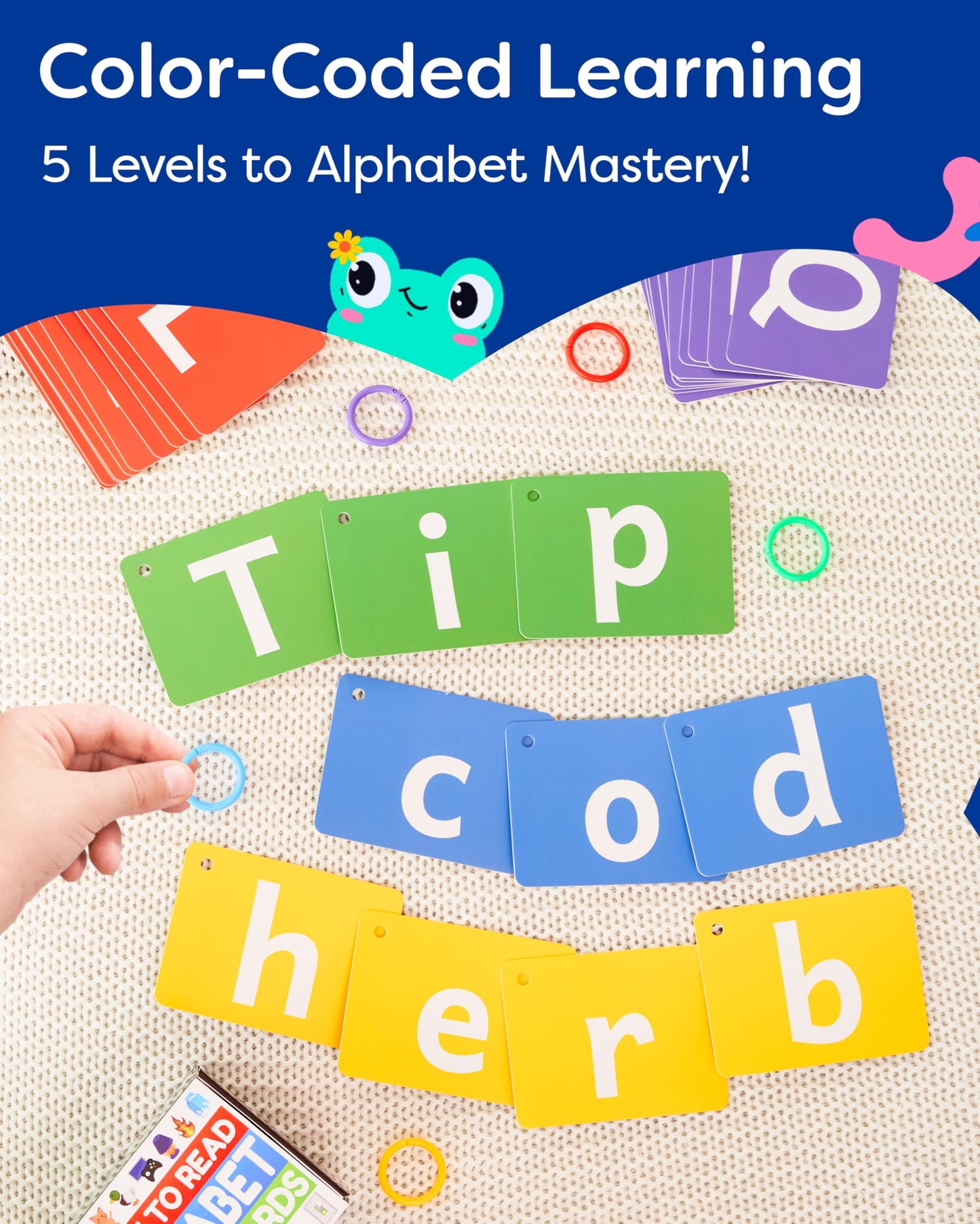 Spanish Alphabet Flash Cards - Thick ABC Flash Cards for Kids Ages 3-6 - Lowercase & Uppercase Letter Recognition Learning Game
