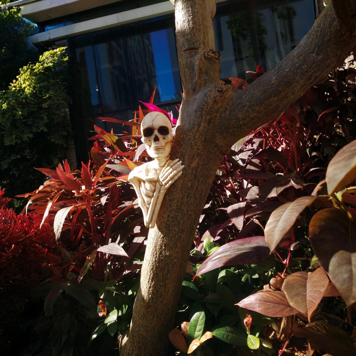 Seasons 14" Halloween Skeleton Tree Peeker for Outdoor Yard Garden Decoration