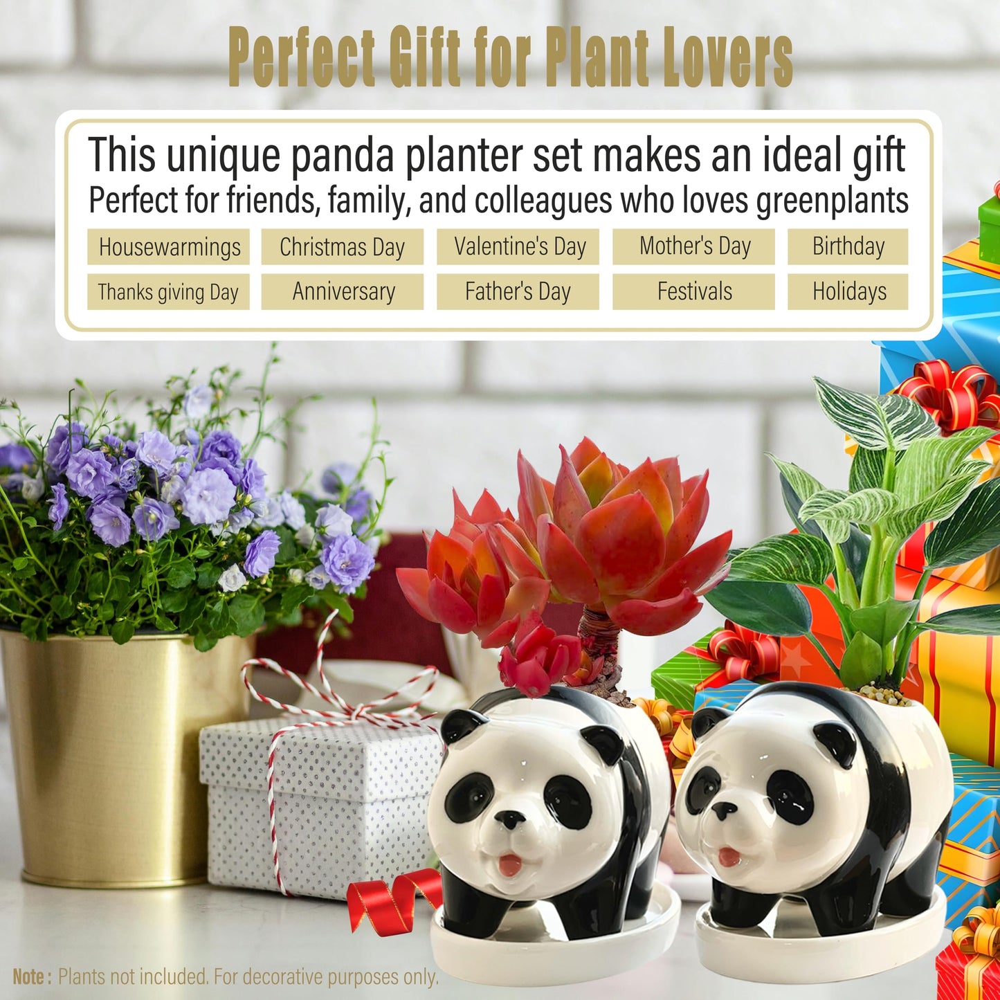 KEEPPACE 2PC Panda Bamboo Planter Pots-5.7‘‘ Ceramic Animal Planters | Succulent Pots & Drainage Tray-Lucky Bamboo Plant Pots Flower Pots Indoor-Air Plants-Cactus Planters-Garden Home Decor