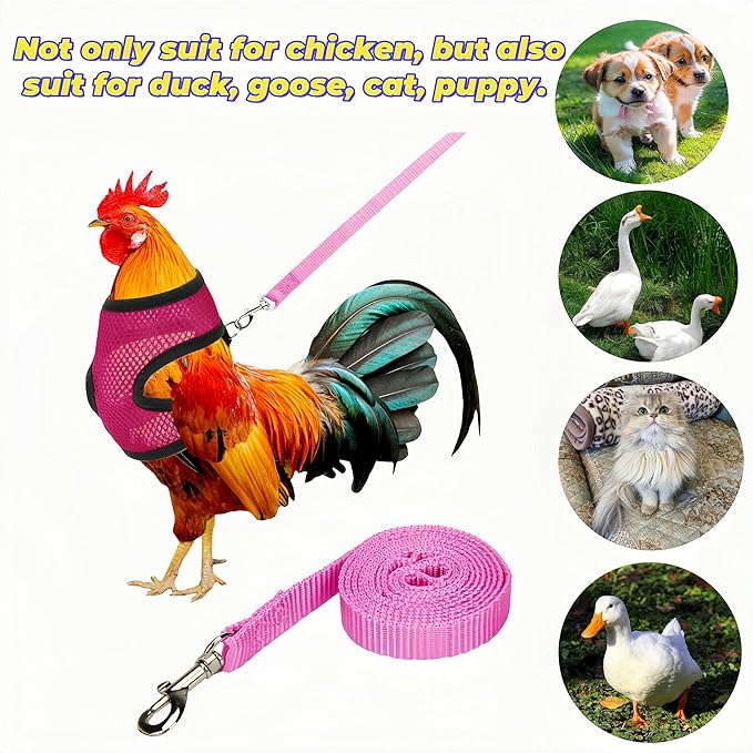 3 Pack Chicken Harness and Leash Set Adjustable Hen Vest with Matching Belt Breathable Mesh Training Harness Pets Leash for Hens Duck Goose Small Pet-Black&Red&Pink,L