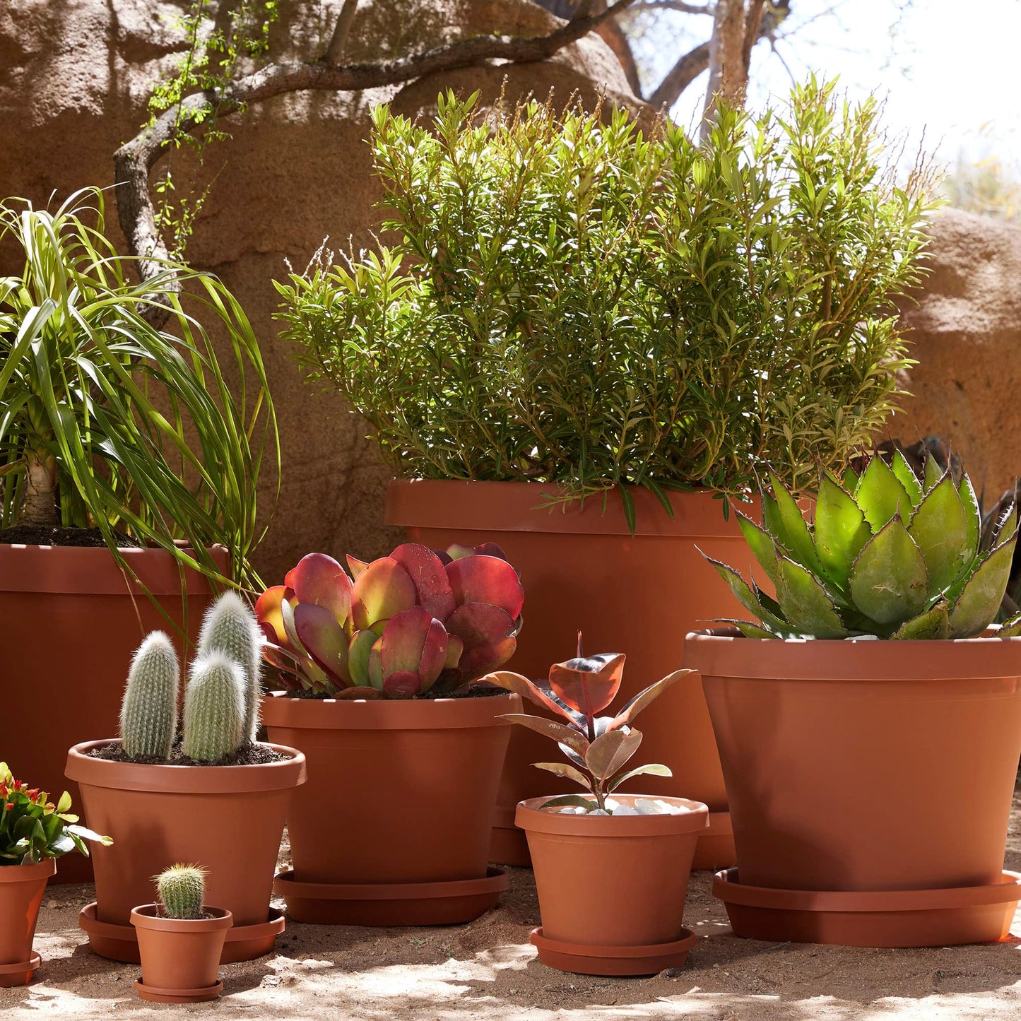 Bloem Terra Pot Planter: 14" - Terra Cotta - Durable Resin Pot, for Indoor and Outdoor Use, Gardening, 5 Gallon Capacity, Saucer Sold Separately