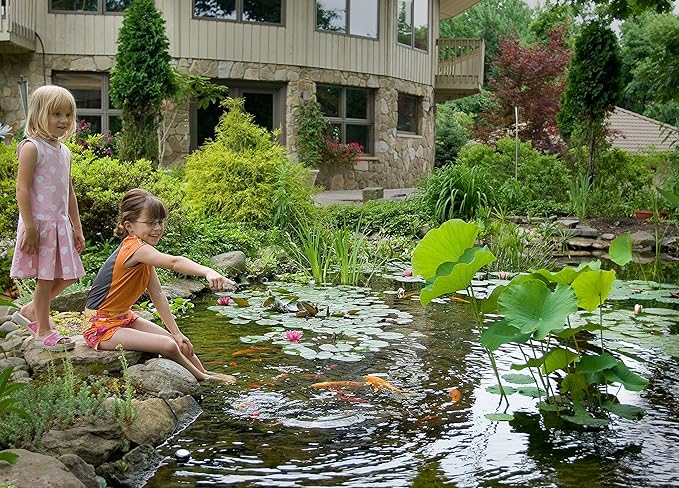 Aquascape 96008 Pond Starter Bacteria Water Treatment 4 LTR/1.1 Gallon for Pond Water Feature Waterfall Landscape and Garden