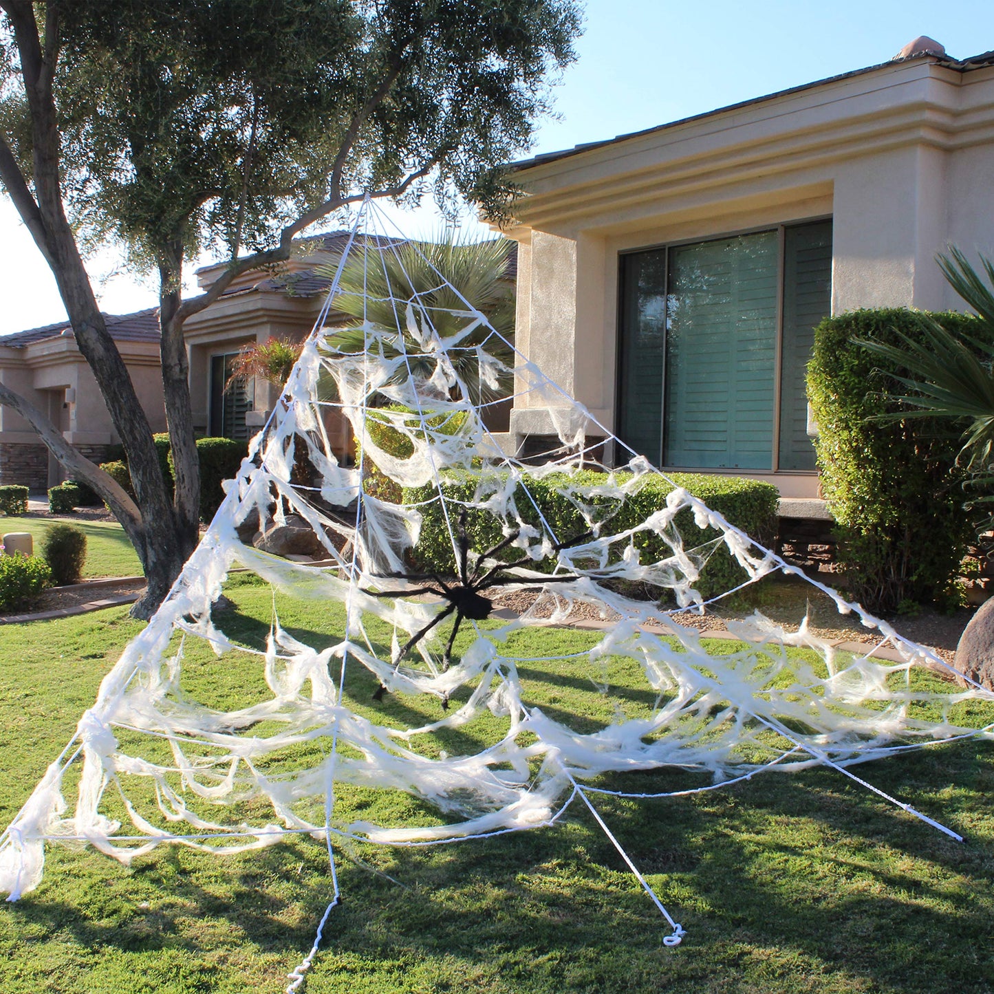 JOYIN Halloween Spider Web and 59'' Giant Spider, 16.4 x 15.7 Ft Large Triangular Web and Stretchy Cobweb 100g for Outdoor Decor, Spiderweb for Patio, Garden, Yard, Haunted House, Indoor Home Party