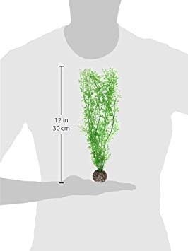 biOrb Winter Flower Plant Pack Medium