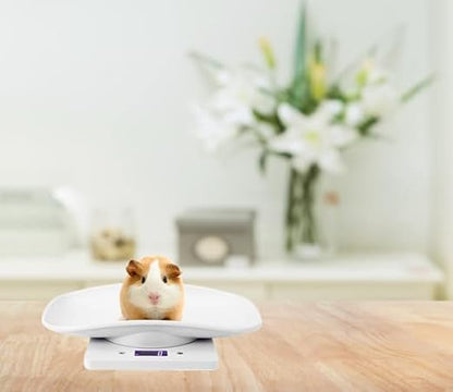 Digital Pet Scale, LCD Animal Scale, 0-22Pound High Accuracy Electronic Weighing Scale, Multifunctional Electronic Weighing Scale for Small Animals Hamster Birds Kittens (No Battery Included)