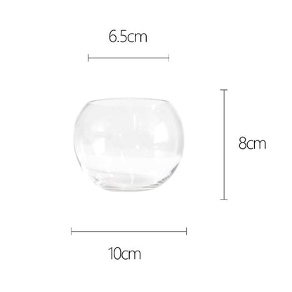 Luxshiny 2Pcs Clear Glass Vase Container 4 Inch Round Hydroponic Plant Holder Decorative Desktop Flower Pot for Home Office Hotel