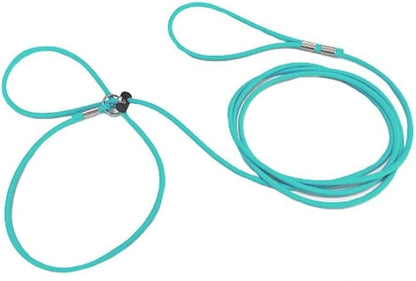 Piggy Poo and Crew 12 Foot Mini Pig Harness Adjustable Harness & Leash for Animals Pigs Ferrets Rabbits Guinea Pigs Dogs Cats Reptile Rodents Small Animals (Teal)