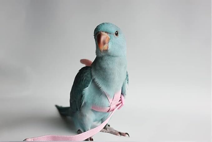 Pet Parrot Bird Harness Leash Adjustable Bird Flying Harness Traction Rope with Cute for Parrots Budgerigar Lovebird Cockatiel Mynah Outdoor Training Toy (Mannikin/Finch,Pink)