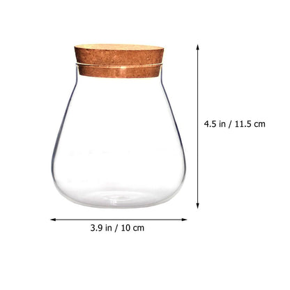 Ciieeo Creative Glass Bottle Ornament 4.52X3.93X3.93In Clear Terrarium Jar with Cork Lid for Mini Plant Display Diy Crafts Home D Cor Accent