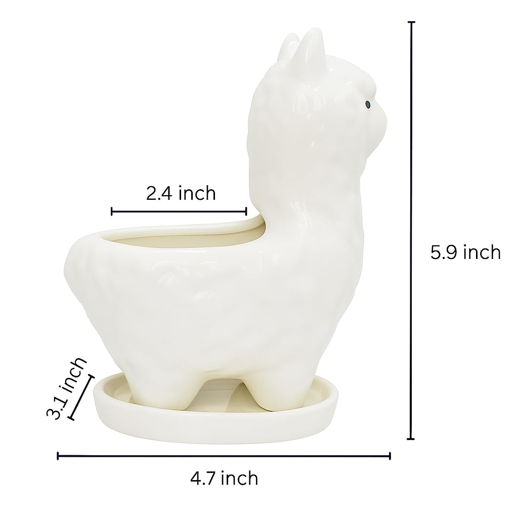 Succulent Planter Pot with Drainage Hole – White Ceramic Animal Pot for Small Plants, Cactus, Flowers – Indoor Outdoor Garden Patio Balcony Decor, Cute Gardening Gift, 6 Inch