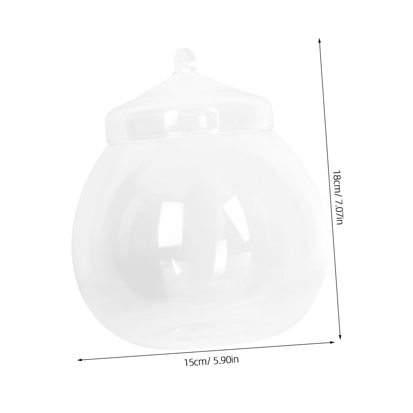 Glass Plant Terrarium Lid Eco Bottle Terrarium Jars Moss Ball Decorative Vase Style