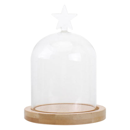 ULTECHNOVO Glass Display Dome Cloche with Solid Wood Base, Clear Glass Dome Cloche Bell Terrarium Jar for Plants, Collectibles And Figurines