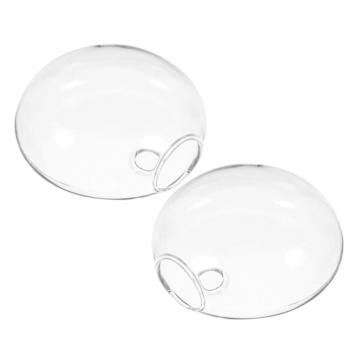 GARVALON Glass Hanging Planter Wall Mounted Vase 2pcs Glass Terrarium Hydroponic Vase for Indoor Plants Home Décor