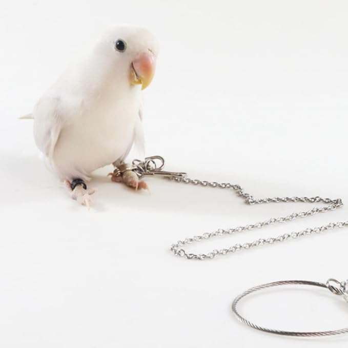 Bird Foot Chain Flying Stainless Steel Training Rope Outdoor Parrot Ankle Foot Ring Accessories Bird Harness Leash Prevent Escaping (7#)