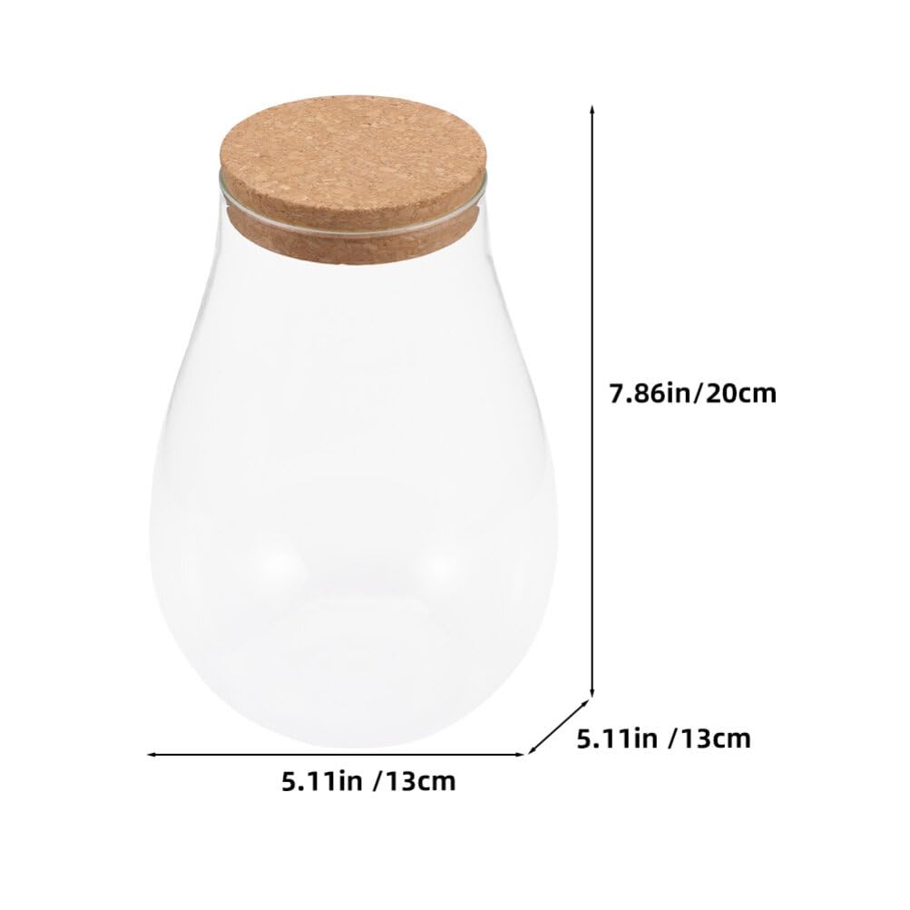 INOOMP 2pcs Glass Plant Terrarium, Tabletop Succulent Planter Sealed Glass Bottles Vial Air Plant Planter Candy Cookie Jar Fish Bowl Vase with Cork Top