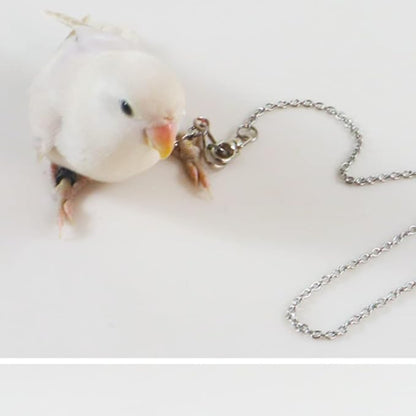 Bird Foot Chain Flying Stainless Steel Training Rope Outdoor Parrot Ankle Foot Ring Accessories Bird Harness Leash Prevent Escaping (8#)