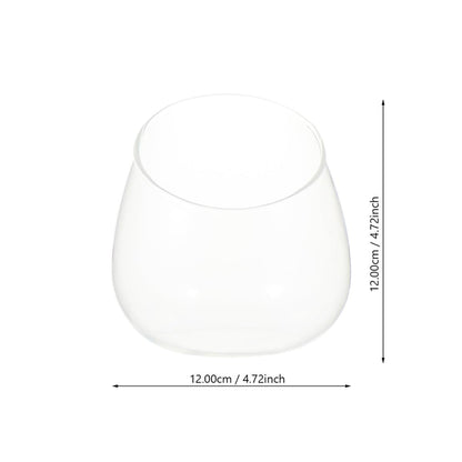 HOMOCONO 3pcs Slant Cut Glass Micro Landscape Bottle Ecological Terrarium Vase for Succulent Plants Desktop Tabletop Decoration