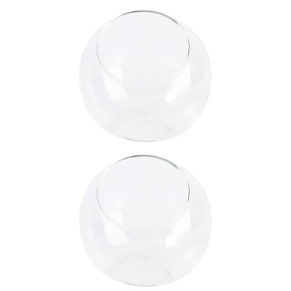 GANAZONO 2Pcs Micro Landscape Glass Bottle Terrarium Decor DIY Container for Plants Glass for Bedroom Living Office and Handmade