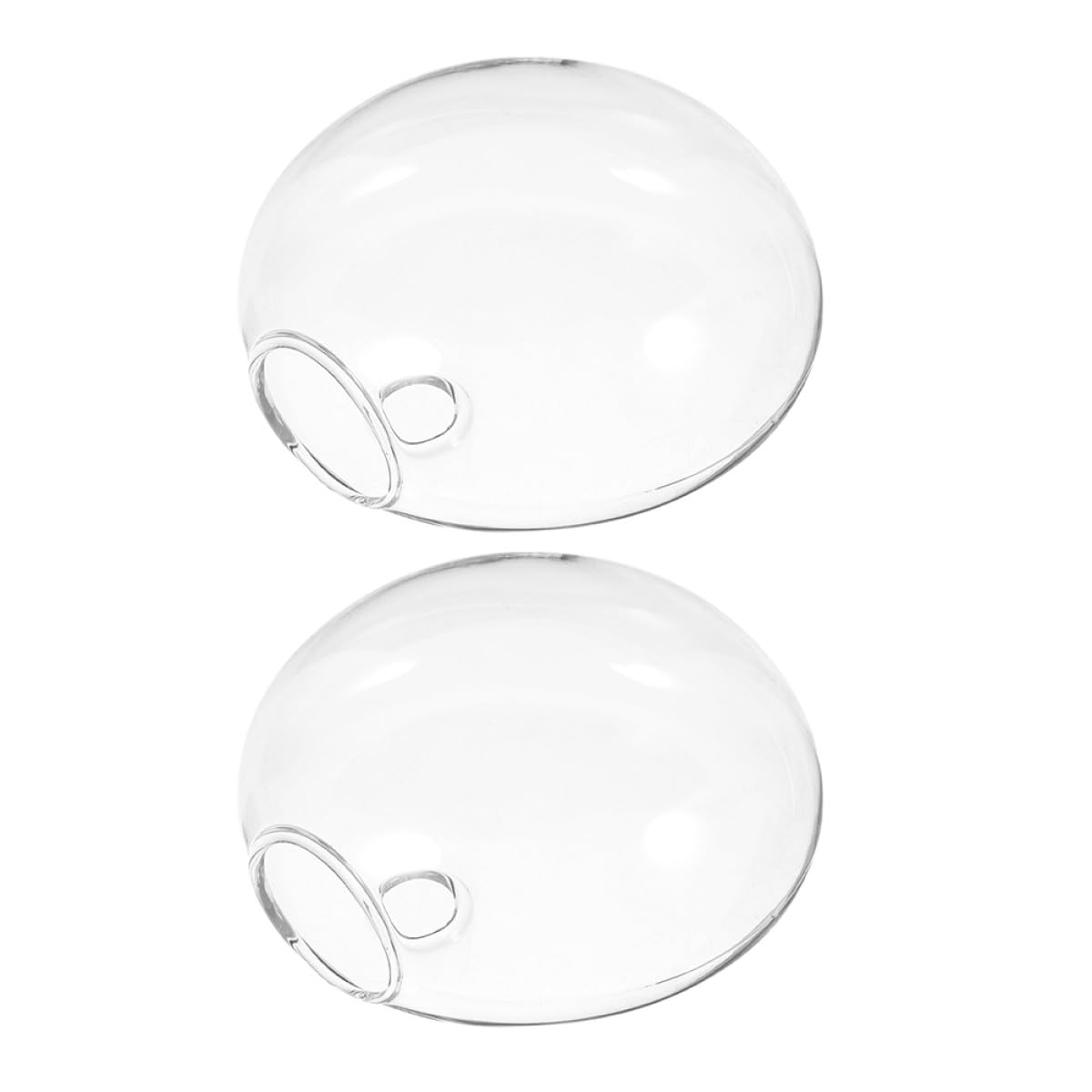 VICASKY 2pcs Glass Hydroponic Vases Wall Hanging Terrarium Holders for Indoor Plants Home Office Décor