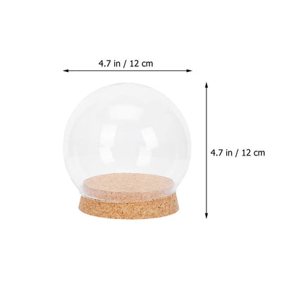 Sewroro 4 Pcs Clear Glass Cloche Globe Display Dome with Cork Base Glass Plant Terrarium Preserved Flower Dome Cover Keepsake Globe Display Case for Lamp Succulents Home Decor